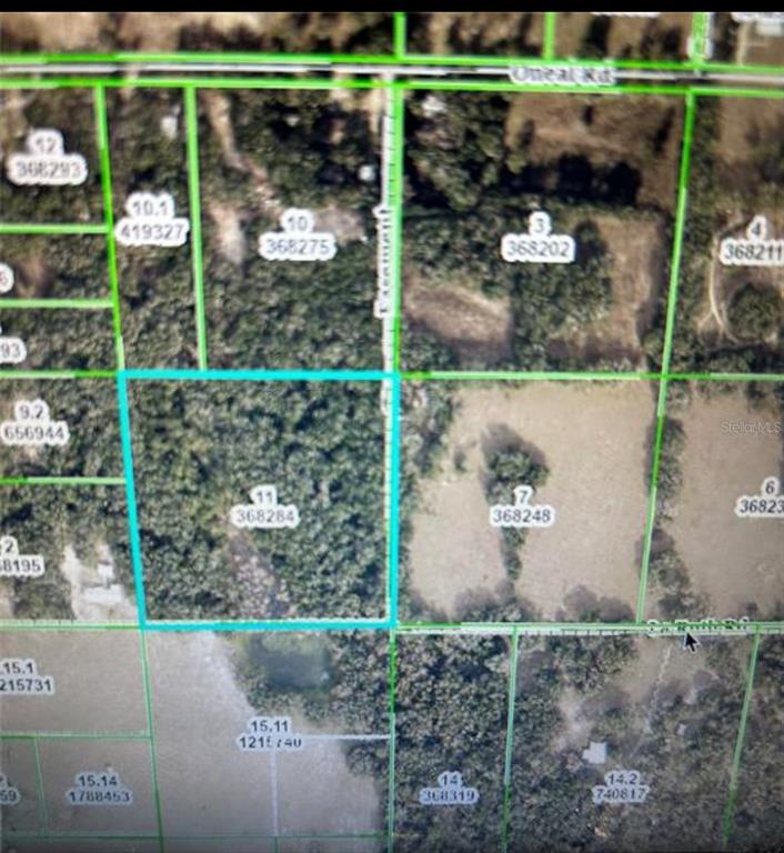 An aerial map shows property boundaries highlighted in blue over a wooded lot — LA RUTH ROAD, BROOKSVILLE, FL