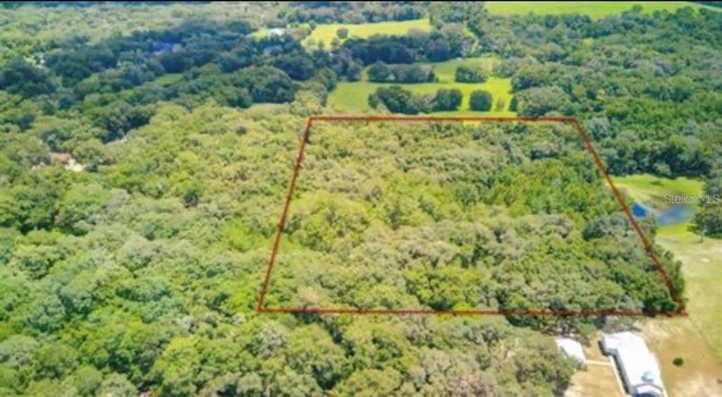 An aerial view shows a rectangular plot of wooded land outlined in red — LA RUTH ROAD, BROOKSVILLE, FL