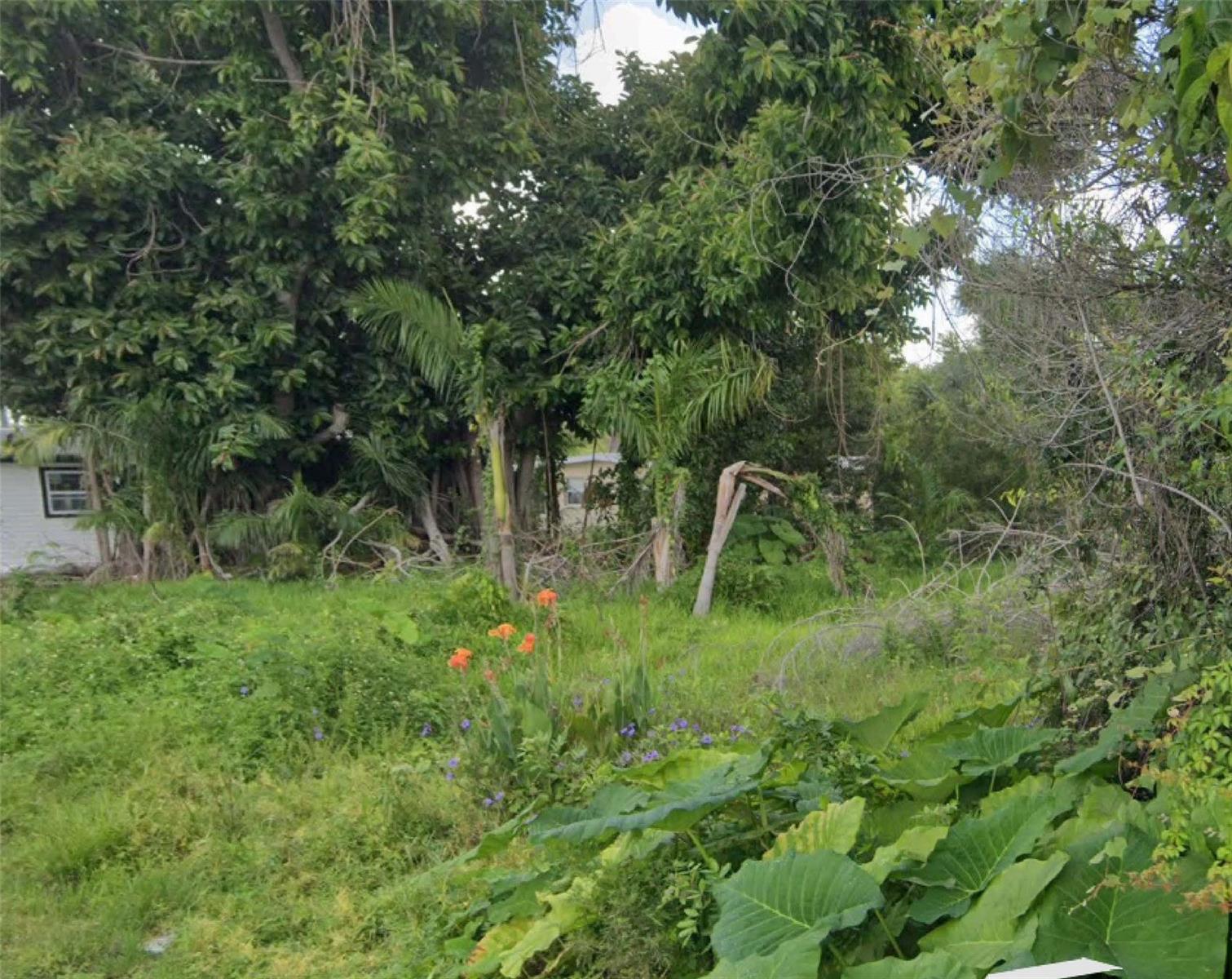 A grassy, overgrown lot features various trees, shrubs, and orange flowers with a house visible — 1120 7th Way, FL 33903, FL