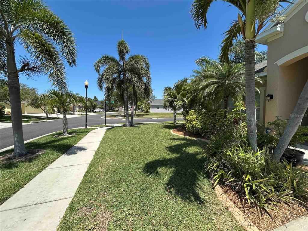 A sidewalk leads past a grassy front yard with palm trees toward a residential house — 443 YORK DALE DRIVE, RUSKIN, FL