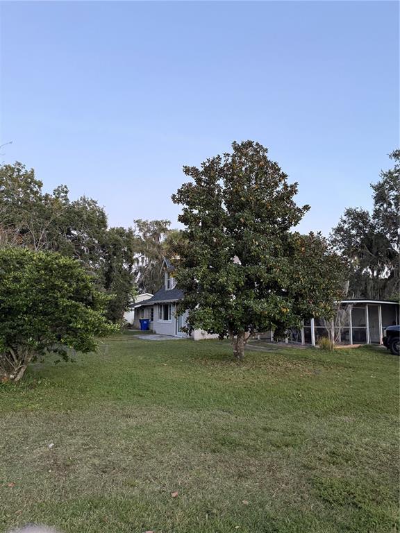 A large magnolia tree stands in the front yard of a single-story house — 226 WILDWOOD AVENUE, EDGEWATER, FL