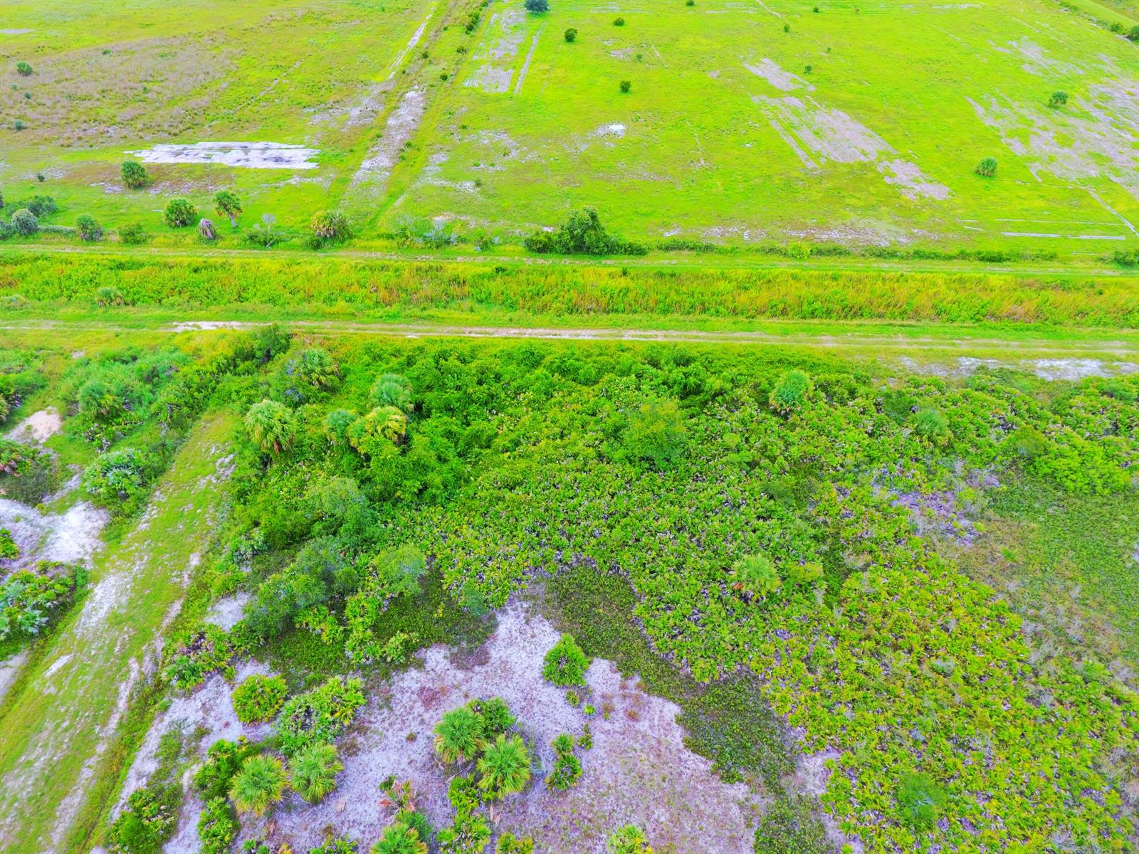 An aerial view shows a grassy field separated from a dense, shrubby area by a path — 21591 NW 282nd Street, Okeechobee FL 34972, OKEECHOBEE, FL