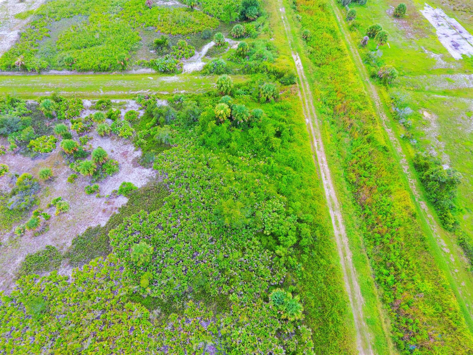 An aerial view shows a dirt path cutting through a grassy field with scattered palm trees — 21591 NW 282nd Street, Okeechobee FL 34972, OKEECHOBEE, FL