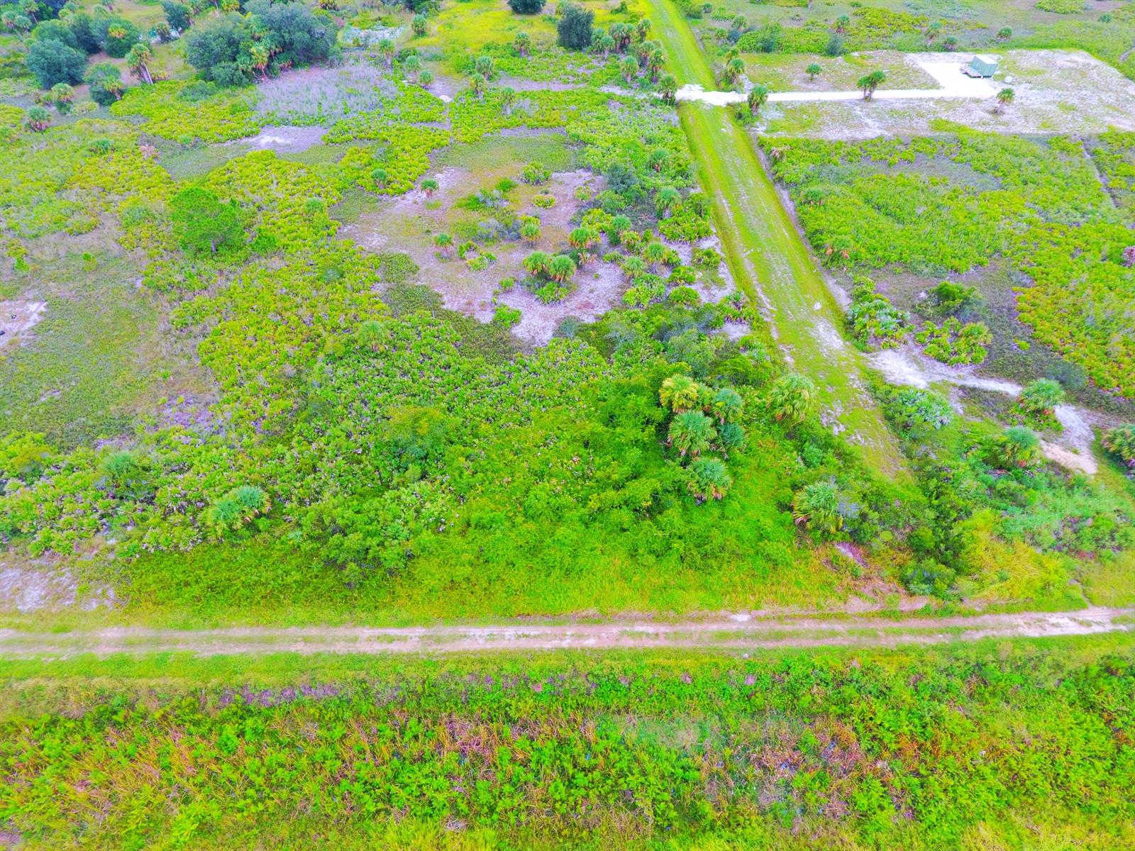 An aerial view shows a grassy field with scattered palm trees and dirt access paths — 21591 NW 282nd Street, Okeechobee FL 34972, OKEECHOBEE, FL