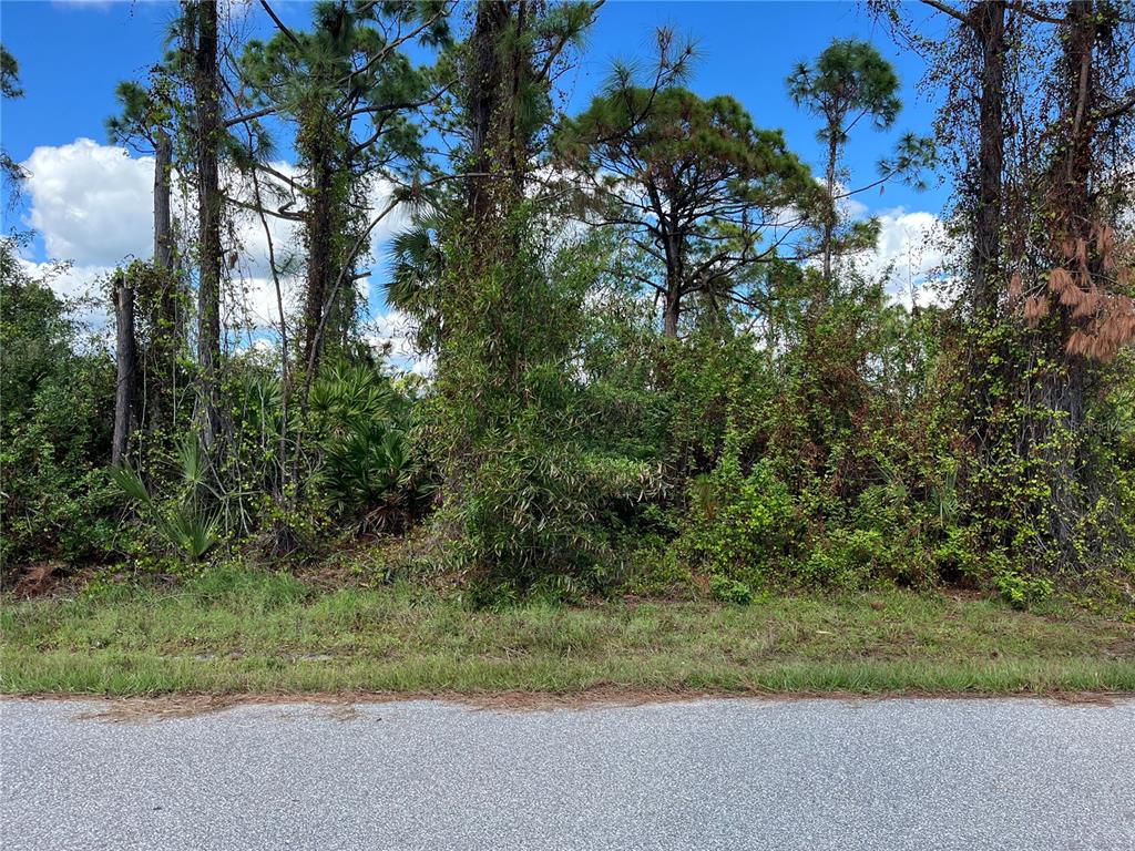 A view of a wooded, undeveloped plot of land bordering an asphalt road — 12438 DEEPWOODS AVENUE, PORT CHARLOTTE, FL