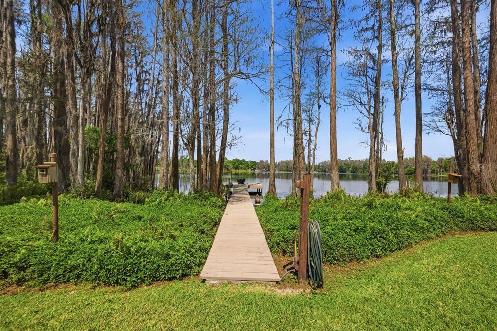 A wooden dock extends from a grassy lawn into a lake surrounded by tall trees — 820 NEWBERGER ROAD, LUTZ, FL