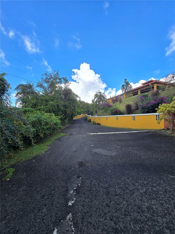 A paved driveway leads uphill past a yellow retaining wall and lush green landscaping — BO PULGUILLAS, CARR. 723, COAMO, PR