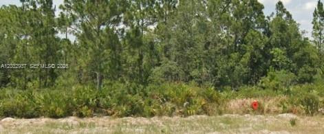 A vacant, wooded lot features a sandy foreground and a dense line of pine trees — 3011 W Dixon Rd, Avon Park FL 33825, AVON PARK, FL