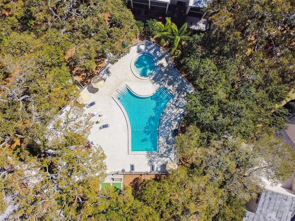 An aerial view shows a swimming pool and hot tub surrounded by trees and decking — 865 VIRGINIA COURT UNIT 108, DUNEDIN, FL