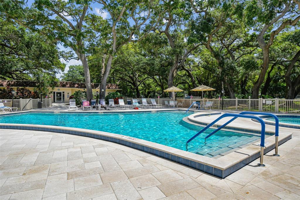 An outdoor swimming pool with a shallow entry area is surrounded by trees and loungers — 865 VIRGINIA COURT UNIT 108, DUNEDIN, FL