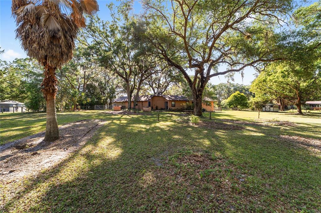 A single-story house sits in a large, grassy yard shaded by many mature trees — 14020 NW 160TH AVENUE, WILLISTON, FL