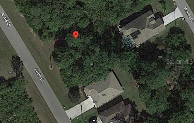 This is an aerial map view showing a wooded residential lot and surrounding houses — 246 ANTIS DRIVE, ROTONDA WEST, FL