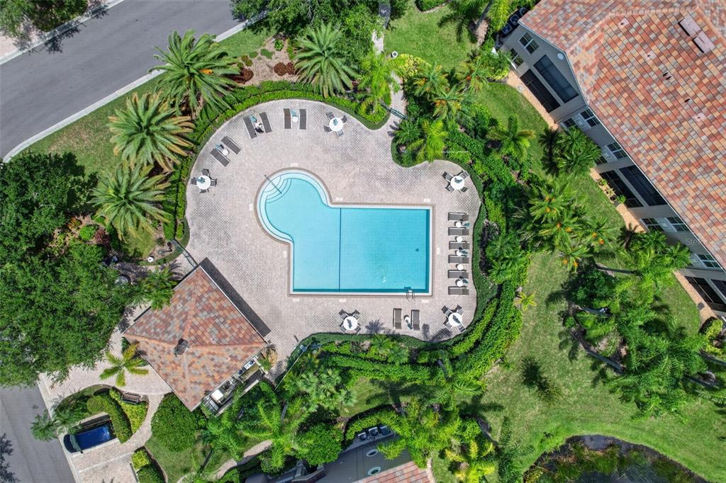 An aerial view shows a swimming pool with a surrounding patio, lounge chairs, and landscaping — 7492 BOTANICA PARKWAY UNIT 102, SARASOTA, FL