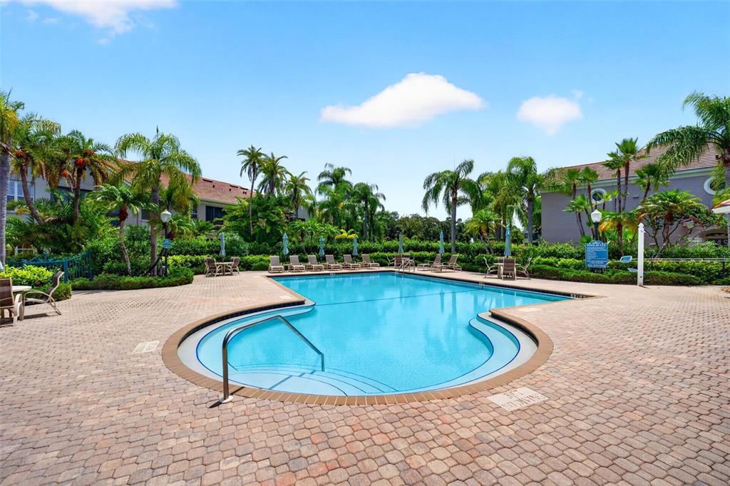 A swimming pool with a paved deck surrounded by palm trees and apartment buildings — 7492 BOTANICA PARKWAY UNIT 102, SARASOTA, FL