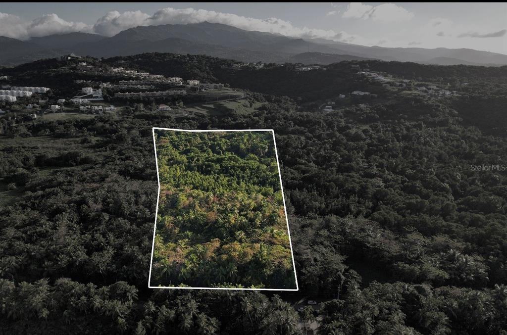 An aerial view shows a rectangular plot of land outlined in white amidst dense forest — PR-968 KM 2.2 LAS PICUAS, RIO GRANDE, PR