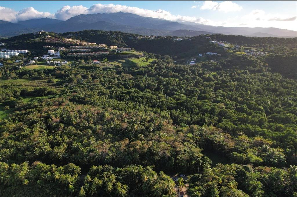 An aerial view shows a dense forest landscape with residential developments nestled on distant hills — PR-968 KM 2.2 LAS PICUAS, RIO GRANDE, PR