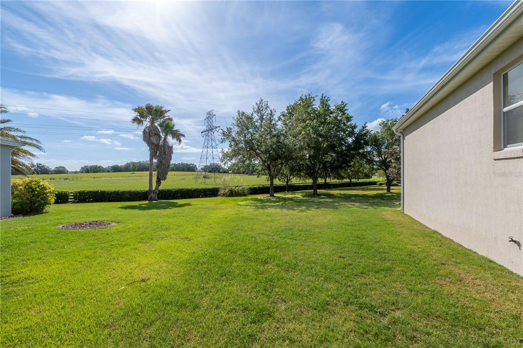 A grassy backyard with a palm tree, mature trees, and a utility tower in the distance — 270 MATISSE AVENUE, THE VILLAGES, FL