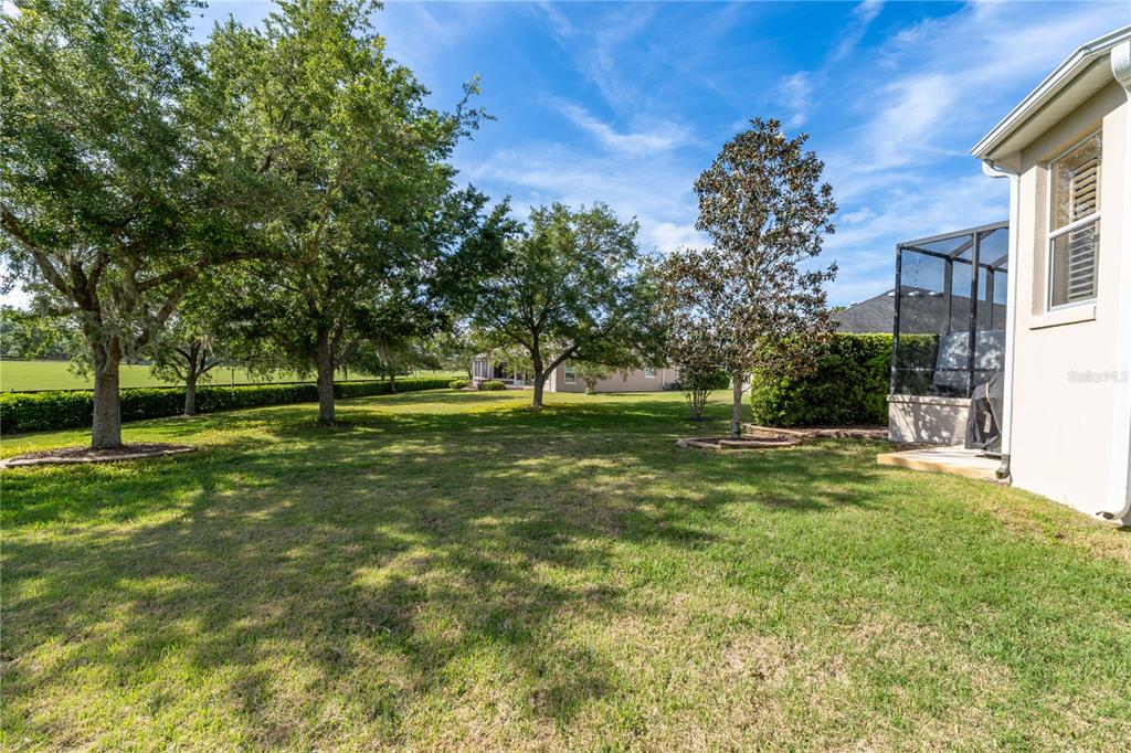 A grassy backyard features several mature trees, a screened-in patio, and a light-colored house exterior — 270 MATISSE AVENUE, THE VILLAGES, FL