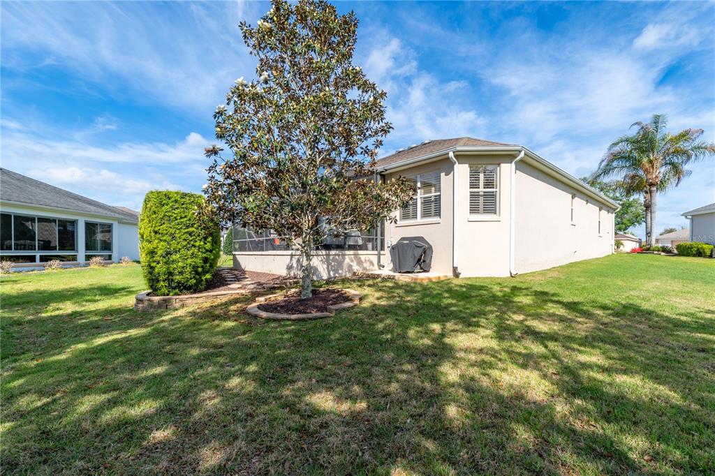 A backyard view of a house with a screened lanai, a magnolia tree, and lawn — 270 MATISSE AVENUE, THE VILLAGES, FL