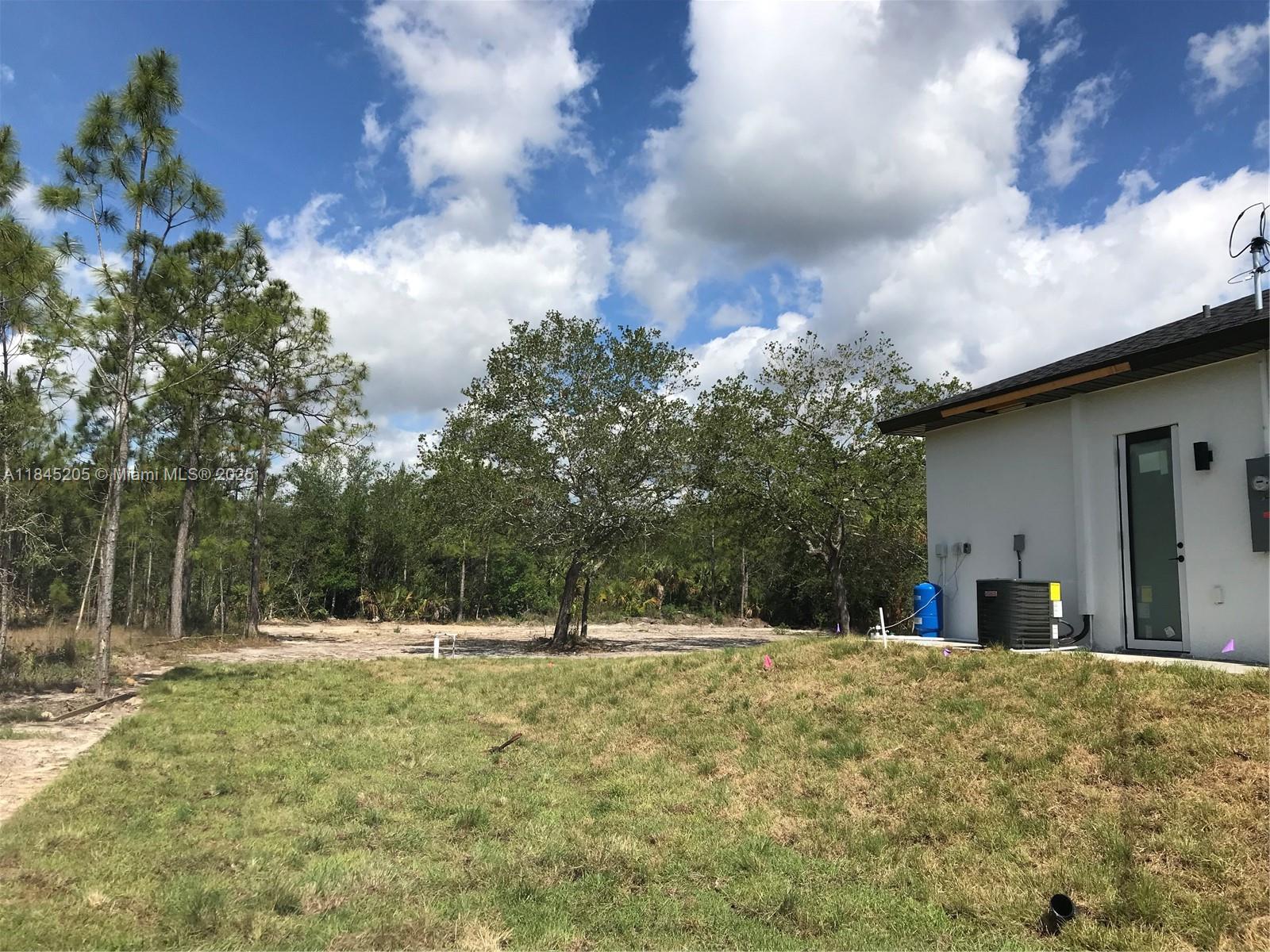 A white house exterior features a glass door, an air conditioning unit, and a blue tank — 919 Glenn Ave, Lehigh Acres FL 33972, LEHIGH ACRES, FL