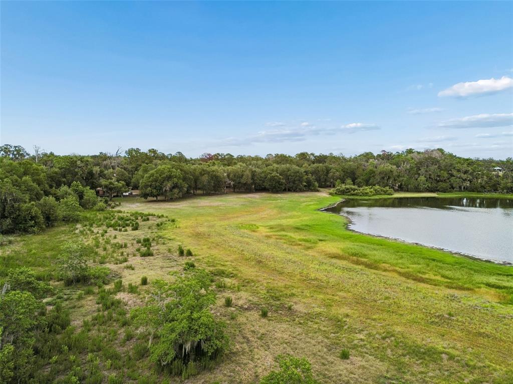 An aerial view shows a grassy field bordering a lake with a forest in the background — 000 PALOMINO LAKES DR, DADE CITY, FL