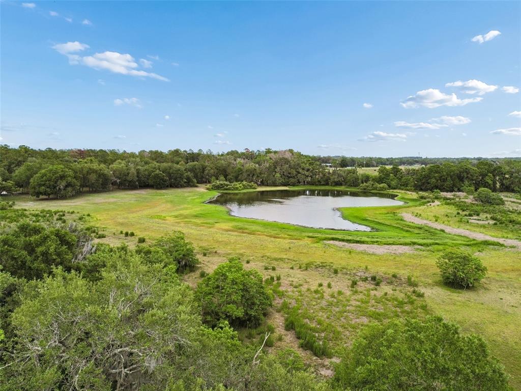 An aerial view of a pond surrounded by grassy fields and a line of trees — 000 PALOMINO LAKES DR, DADE CITY, FL