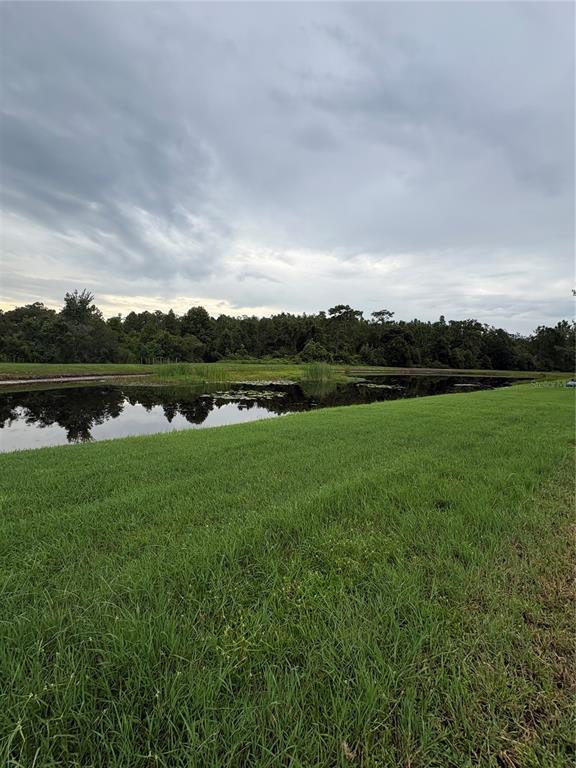 A grassy lawn slopes down toward a calm pond bordered by a dense forest — 19939 TAMIAMI AVENUE, TAMPA, FL