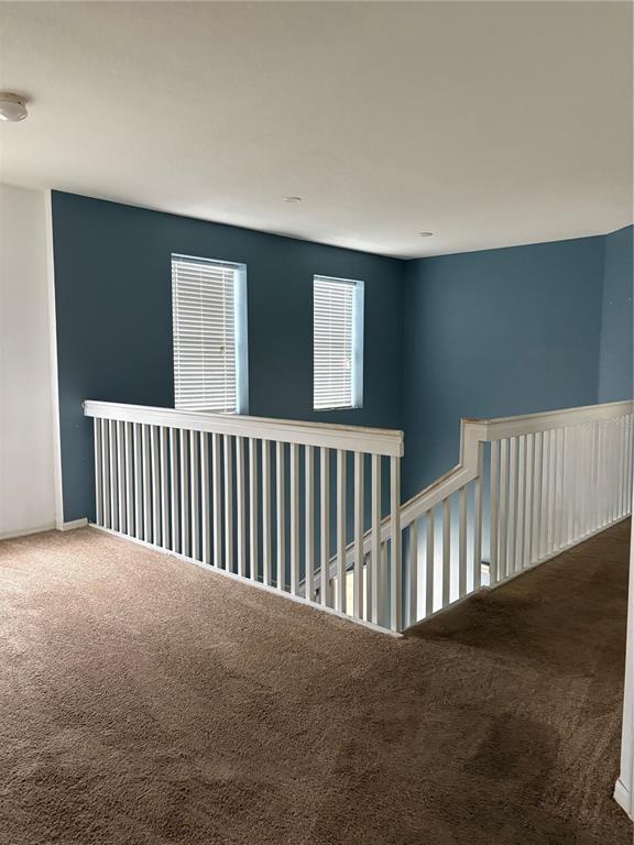 A carpeted landing features a white wooden railing overlooking a staircase and blue-painted walls — 19939 TAMIAMI AVENUE, TAMPA, FL