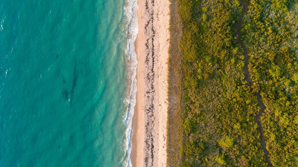 An aerial view shows a sandy beach bordering turquoise ocean water and dense green vegetation — 400 Beach Road # 504, Tequesta FL 33469, TEQUESTA, FL