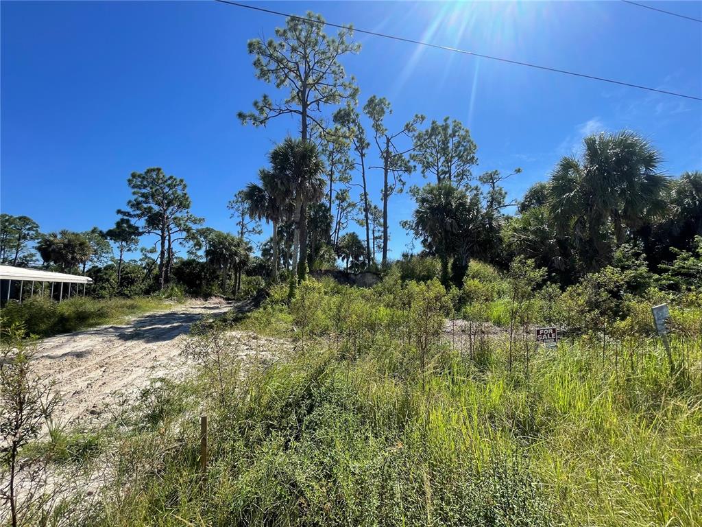 A vacant, overgrown lot features sandy ground, tall pine trees, and a for sale sign — 1221 UNDERHILL CIRCLE, PORT CHARLOTTE, FL