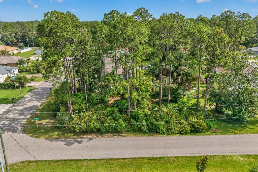 An aerial view shows a wooded, undeveloped residential lot situated at a street corner — 0 RYAN DR, PALM COAST, FL