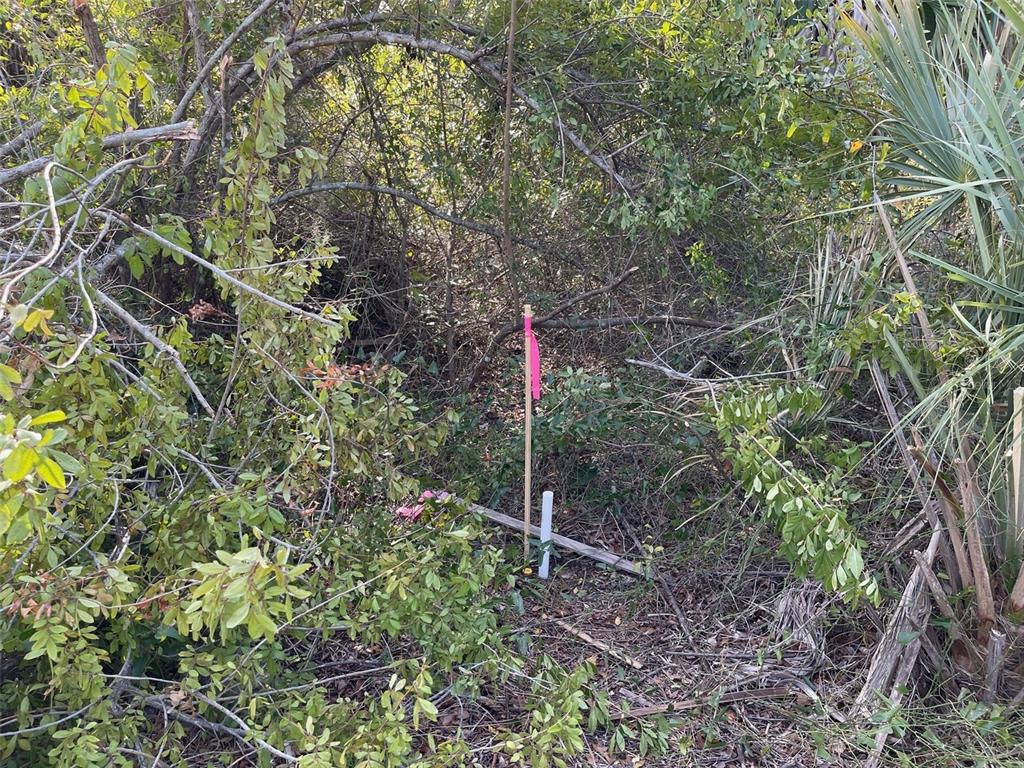 A wooden stake with a pink ribbon marks a spot in a dense, wooded area — ABATE AVENUE Lot 10, NORTH PORT, FL