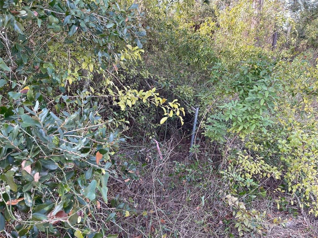 A metal survey marker stands amidst dense brush and trees on a wooded lot — ABATE AVENUE Lot 10, NORTH PORT, FL