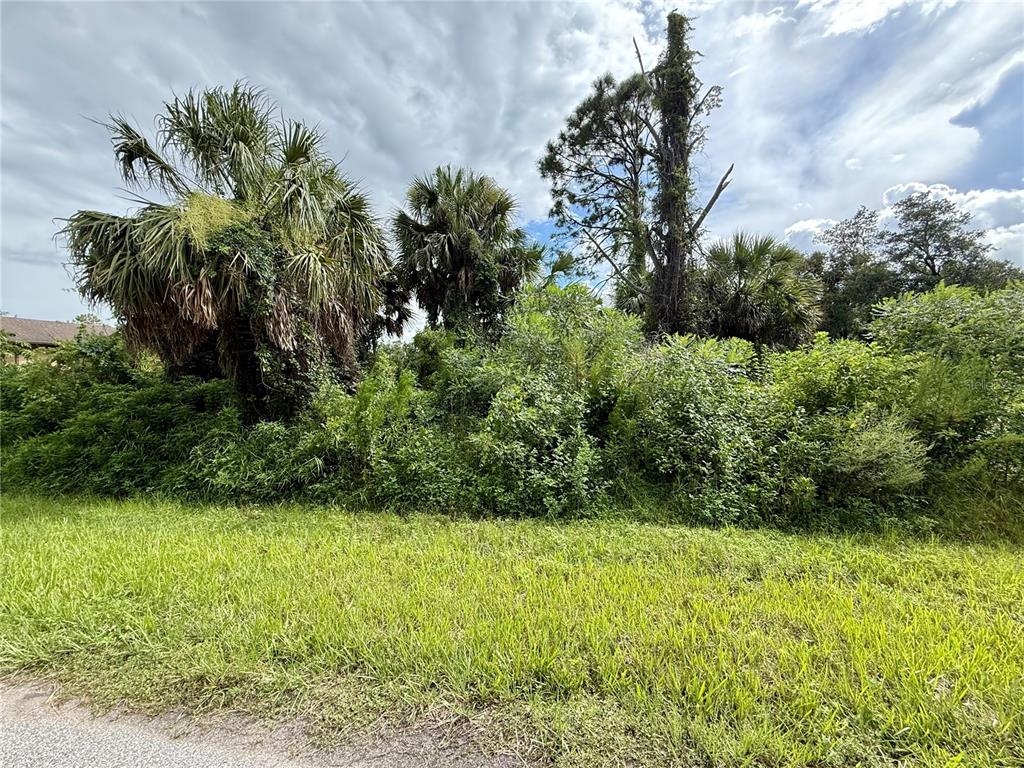 A grassy foreground leads to a dense thicket of trees and shrubs under a cloudy sky — INDUSTRY AVE, NORTH PORT, FL