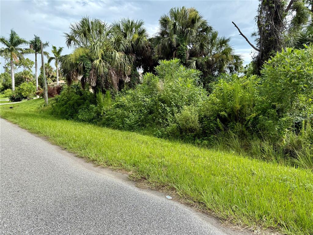 A paved road runs alongside a grassy embankment with dense trees and palm trees — INDUSTRY AVE, NORTH PORT, FL