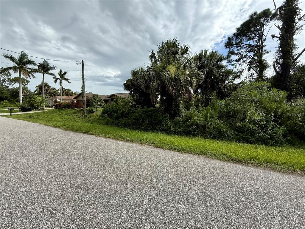 A paved road runs alongside a grassy lot with dense vegetation and several palm trees — INDUSTRY AVE, NORTH PORT, FL