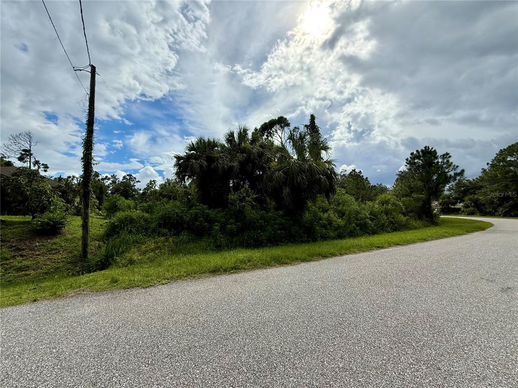 A vacant, overgrown lot sits along a paved road under a cloudy sky — INDUSTRY AVE, NORTH PORT, FL