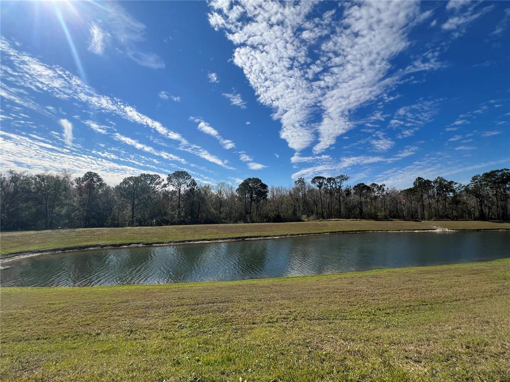 A grassy bank slopes down to a pond in front of a line of trees — 8557 LA ISLA DRIVE, KISSIMMEE, FL