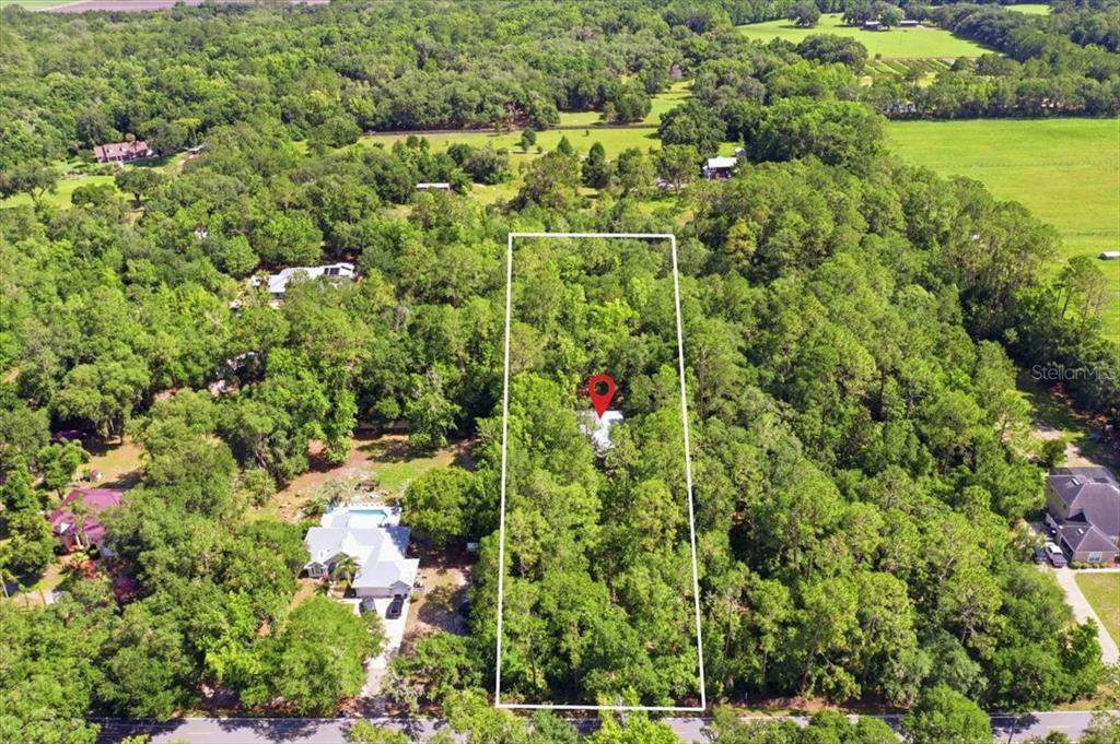 An aerial view shows a rectangular wooded lot with a red location pin — 5526 DON MANUEL ROAD, ELKTON, FL