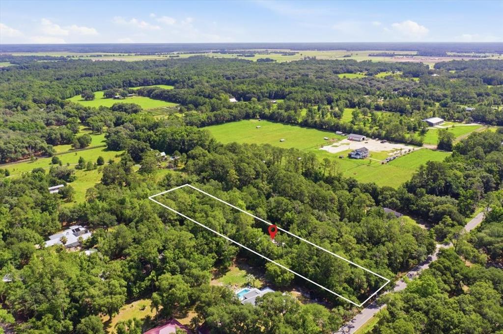 An aerial view shows a rectangular wooded lot outlined in white with a red location pin — 5526 DON MANUEL ROAD, ELKTON, FL
