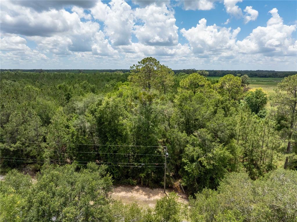 17198 SW STATE ROAD 47