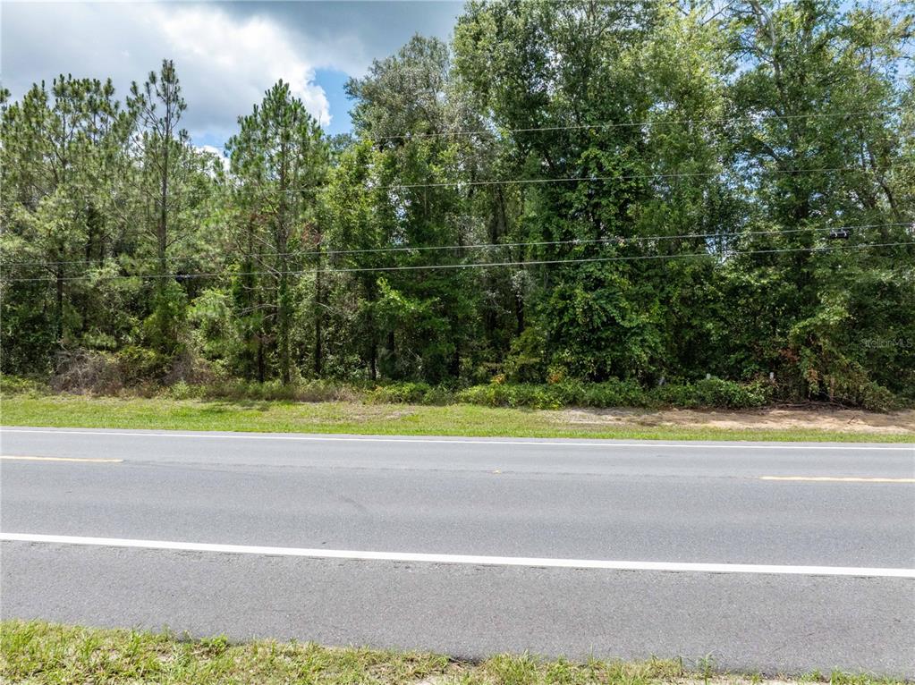 A paved road runs in front of a densely wooded lot with overhead power lines — 17198 SW STATE ROAD 47, FORT WHITE, FL