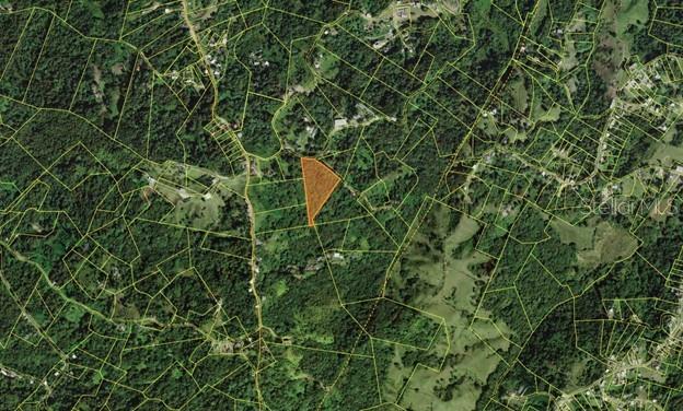 An aerial map view shows a highlighted parcel of land surrounded by trees and roads — ALTURAS DE VALENCIA - VALENCIANO ARRIBA WARD LOT 21, JUNCOS, PR
