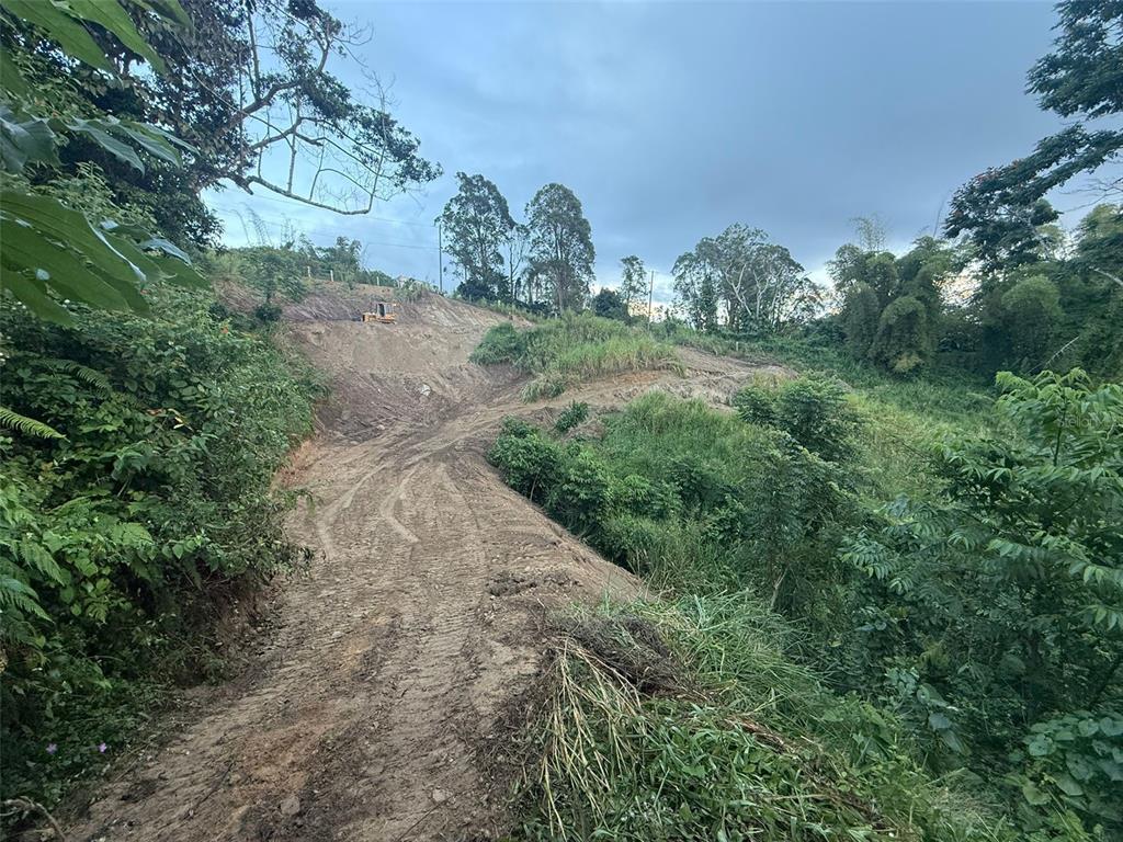A dirt path leads up a cleared hillside with a small excavator in the distance — ALTURAS DE VALENCIA - VALENCIANO ARRIBA WARD LOT 21, JUNCOS, PR