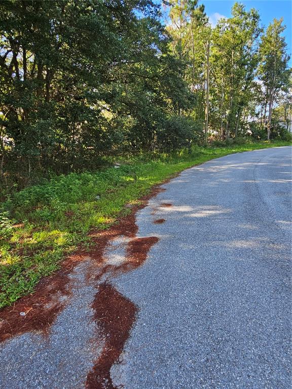 A paved road curves alongside a wooded lot with green grass and pine needles — 108 SAIL WAY, POINCIANA, FL