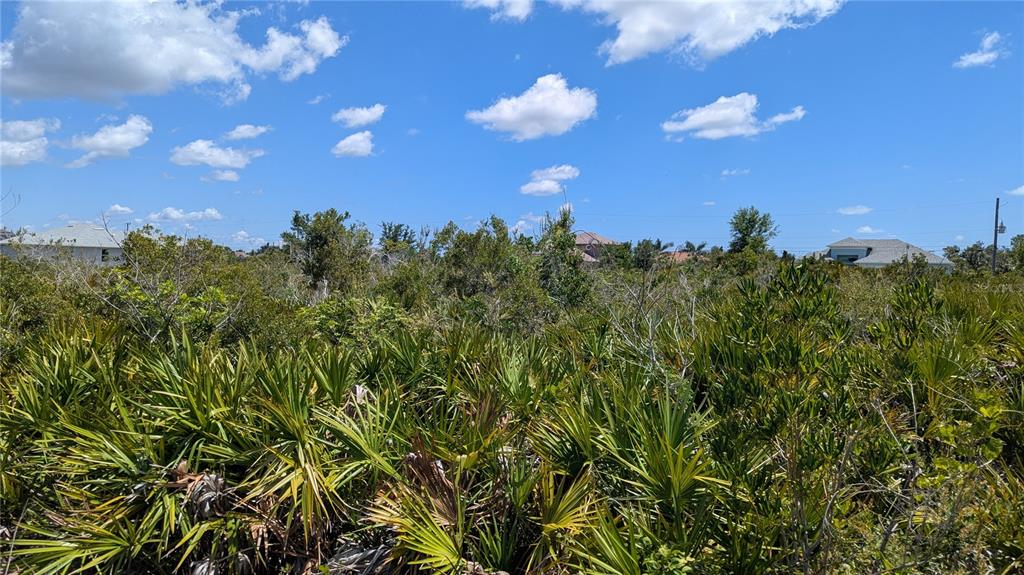 A vacant, overgrown lot features dense palmetto bushes under a bright blue sky with clouds — 13485 ABUTILON LANE, PORT CHARLOTTE, FL