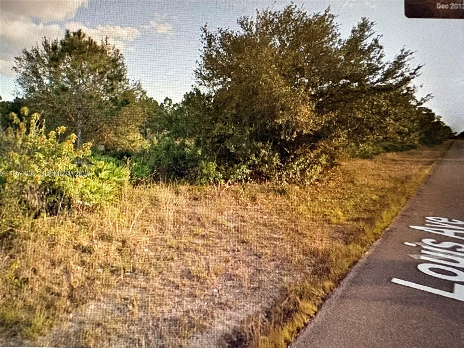A view of a vacant, wooded lot bordering a paved road — 1320 Louis Ave, Lehigh Acres FL 33972, LEHIGH ACRES, FL