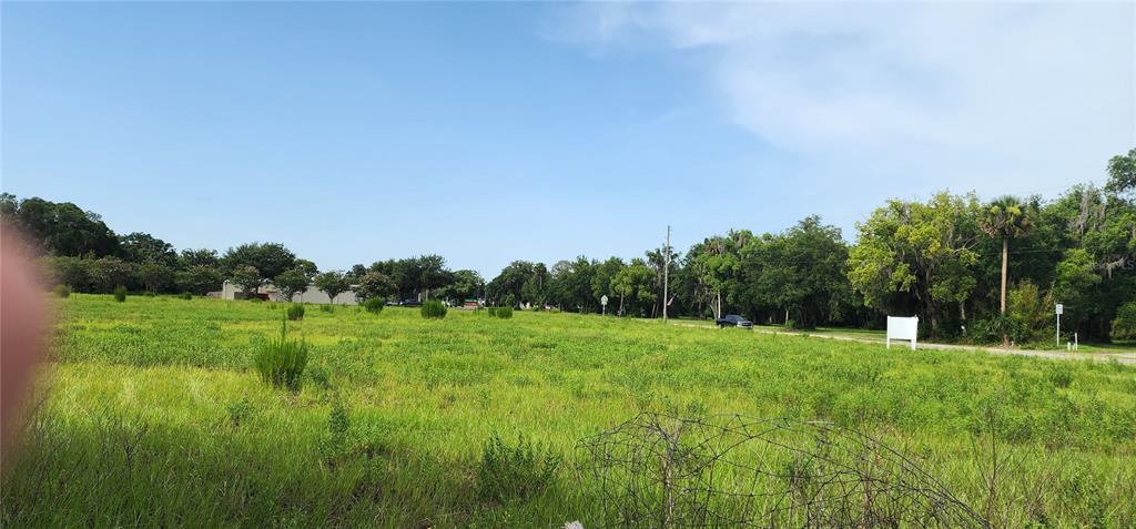 US-17 & 1ST STREET E, PIERSON, FL — photo 5 of 7
