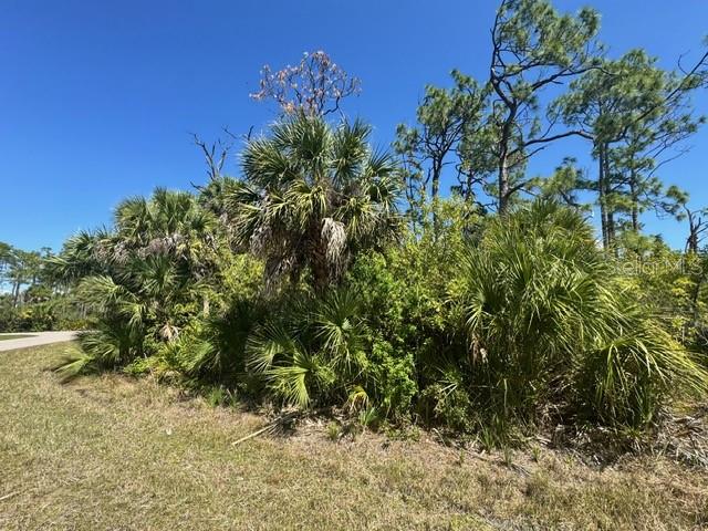 A patch of Florida scrubland features saw palmettos and pine trees under a clear sky — 5102 HOPKINS AVENUE, PORT CHARLOTTE, FL