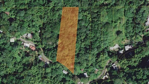 PR-354 KM 6.4 MARINI COMMUNITY - QUEMADO WARD